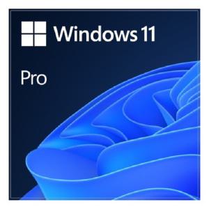 마이크로소프트 Windows 11 Pro 처음사용자용(FPP) 영문