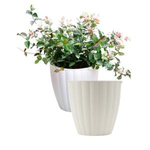 식물 화분 자동급수기 책상 빈 작은 소형 물구멍없는 저면관수 베란다 16.5x16cm