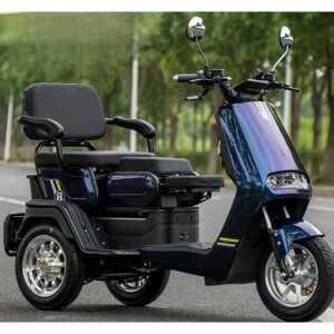 삼륜 스쿠터 전동차 농촌 전기 레저 오토바이 어르신