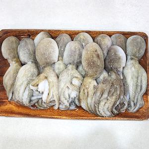 선동 급냉 냉동 쭈꾸미 1kg