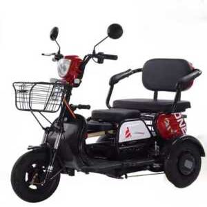 삼륜전기자전거 초보자 어르신 오토바이 마실용 애견