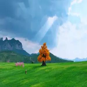 태항산 5일 #노팁노옵션 #특급호텔 #VIP리무진버스