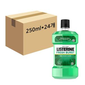 리스테린 후레쉬 버스트 구강청결제 가글 250ml x24개