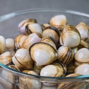 국내산 동죽 조개 1kg 80미 내외