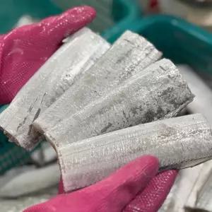 진짜 제주 은갈치 20팩 1.1kg 제주 갈치 구이 제주산갈치 손질갈치 냉동갈치 절단갈치