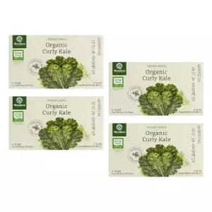 베네팜 유기농 곱슬케일 컬리케일분말 100포 (4박스) 동결건조