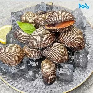 [맛도리] 당일채취 후 발송 남해안 별미 피꼬막 3kg (60미 내외)