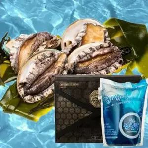 [후레쉬앤푸드]프리미엄 완도 활전복세트 1kg 7-8미 손질칼1개 산소팩+아이스박스+부직포가방