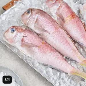 [NS홈쇼핑]제주 손질통옥돔 160gX8미[35466120]