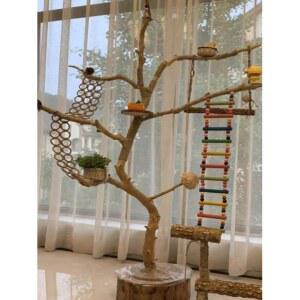 새놀이터 나무 횟대 사다리 스탠드 대형 조경 새장 잉꼬 애완용 그네 둥지 횃대 앵무새장