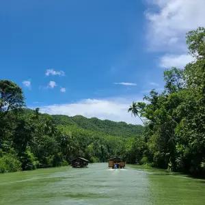  [실속에실속] 핵심 데이 육상 투어 (왕복차량, 가이드)