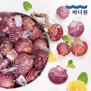 [바다원] 산지직송 국내산 제철 홍가리비 5kg (약 100-110미)