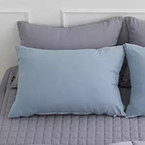 [알티피아]해피니 딥슬립 워싱 베개커버 50x70cm (블루) (베개솜 별매)