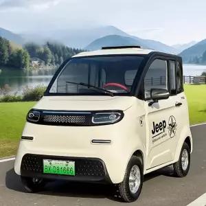 초소형 전기차 2인승 전동차 미니 실용 성인용 전동 미니카