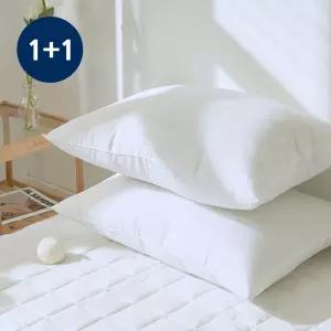 루시드슬립 국내산 지퍼형 항균 새솜 스탠다드 베개솜 2p 세트 40x60/50x70