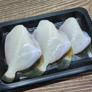 국내산 손질 쥐치 횟감 회 300g내외