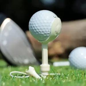 2개1세트 리카타 NEW 노비티 비거리 방향성 개선 마그네틱 골프티.