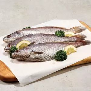 [우리참바다] 국내산 반건조민어 왕특대 선물세트 (340g 내외 7미)