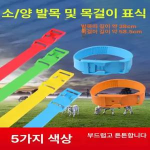 목장가축인식표 소 양 10개세트 100개 송아지