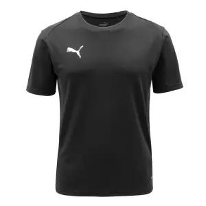 푸마 팀골 저지 ASIA SP(65940303)운동티셔츠 운동 반팔 스포츠 헬스 의류 남성의류