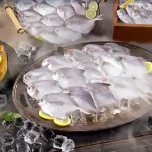 국내산 명품병어 13마리 손질 생선 조림 구이 횟감