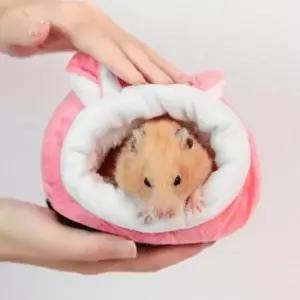 골든 햄스터 집 은신처 겨울 숨숨집 꾸미기 4가지_23964954