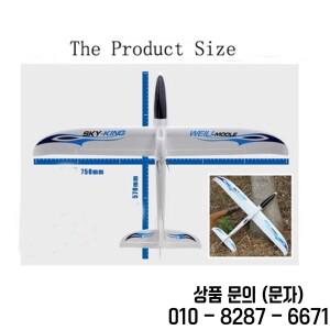 Parkten Wltoys F959s 자이로 스카이 킹 3CH RC 비행기 푸시 속도 글라이더 RTF로 업그레이드 Good Same Ss