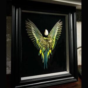 APC 진짜 깃털 3D 앵무새 조류 표본 정통 Budgerigar 수공예품 프레임 전시 디스플레이 아트 데스크탑 그림