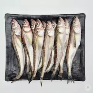 동해안 도루묵 1KG X 1팩 국내산 제철생선 알배기