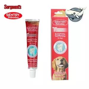 반려동물 치아관리 치약 세정 효과 강아지