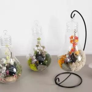 스칸디아모스 공기정화식물 화병 물방울글라스 set 25cm 3컬러 인테리어 천연 이끼 장식 소품