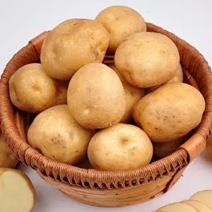 [후레쉬빌]포근포근 25년산 햇 감자 3kg (대)