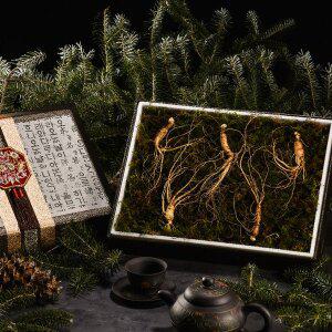 [다농이네][SSG상품권 증정 이벤트][1/26일부터 순차출고]강원도 장뇌삼 산양삼 선물세트 5뿌리 (10-12...