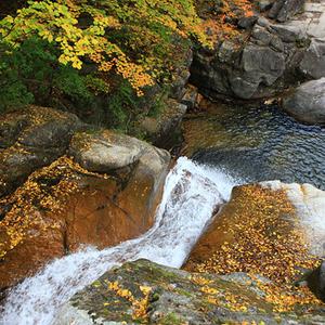 [평창,강원]소금강트레킹+월정사/전나무숲/ 당일여행(오대산)
