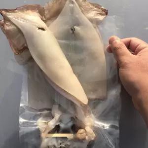 CM팜 오동통 쫄깃한 식감 반건조 오징어 5미 10미 오징어 버터구이 간식 밥반찬 부침 요리 가정 업소