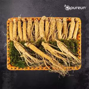 [이푸른] 풍기인삼 6년근 수삼 5호 800g(15-20뿌리)