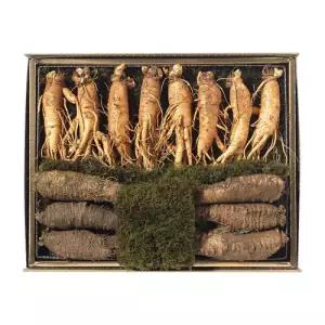 [名作] 명품 금산인삼(수삼)/홍천더덕 혼합세트 4호