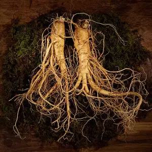 농협선별 금산 인삼(난발) 750g