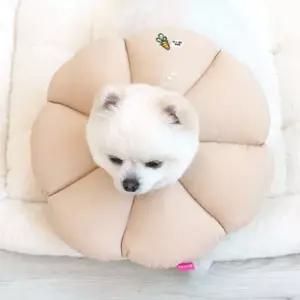 강아지 쿠션 넥카라 베이지 1P 깔대기 면카라 수술 쿠션형목보호대