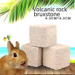 스톤 45cm 화산 2P 미네랄 어금니 작 설치류 동물 반려 애완 바위 토끼 용품 기니피그