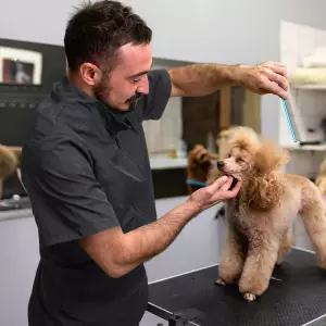 반려 유니폼 동물 파티용품 애완 목욕 샴푸 살롱 개 사 작업복 미용 복장 방수 앞치마 옷 고양이