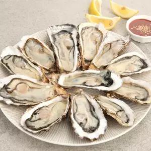 [바다담음] 통영 하프셀 굴 1박스(25∼30미 내외)