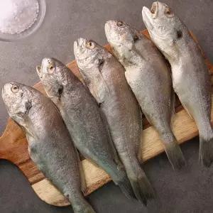 국내산 반건조 백 조기 2.4kg 20미 국산 백 조기 굴비 조기 에어프라이어 백굴비 제사