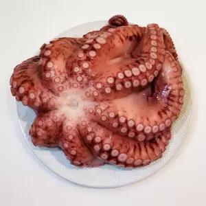 제수용 손질 자숙 문어 1kg급 1미