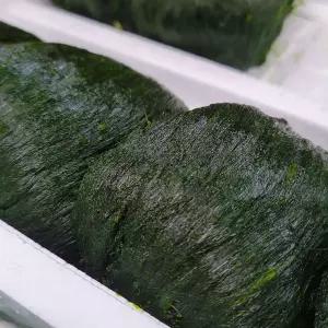 국내산 완도 냉동 매생이 1kg