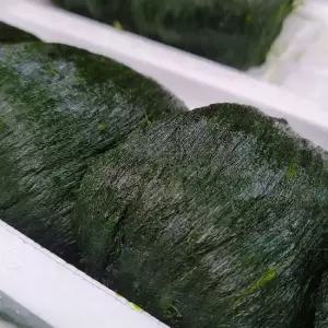 국내산 완도 냉동 매생이 1kg