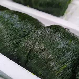 [푸드앳홈]국내산 완도 냉동 매생이 1kg