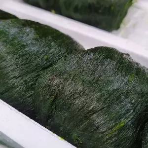 국내산 완도 냉동 매생이 1kg