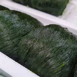 국내산 완도 냉동 매생이 1kg