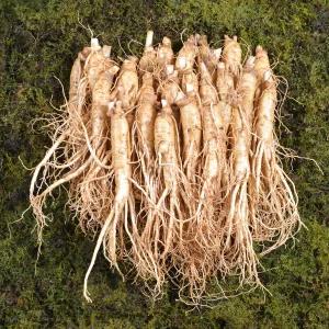 금산인삼수삼 원수삼 소 무료세척 1채750g 18~22뿌리